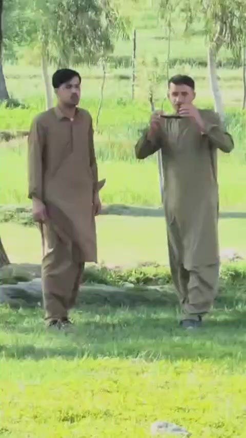 @Farman 19 🇨🇦
