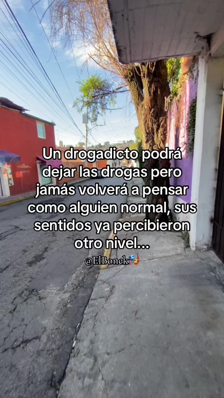 @El Bonek 🎭