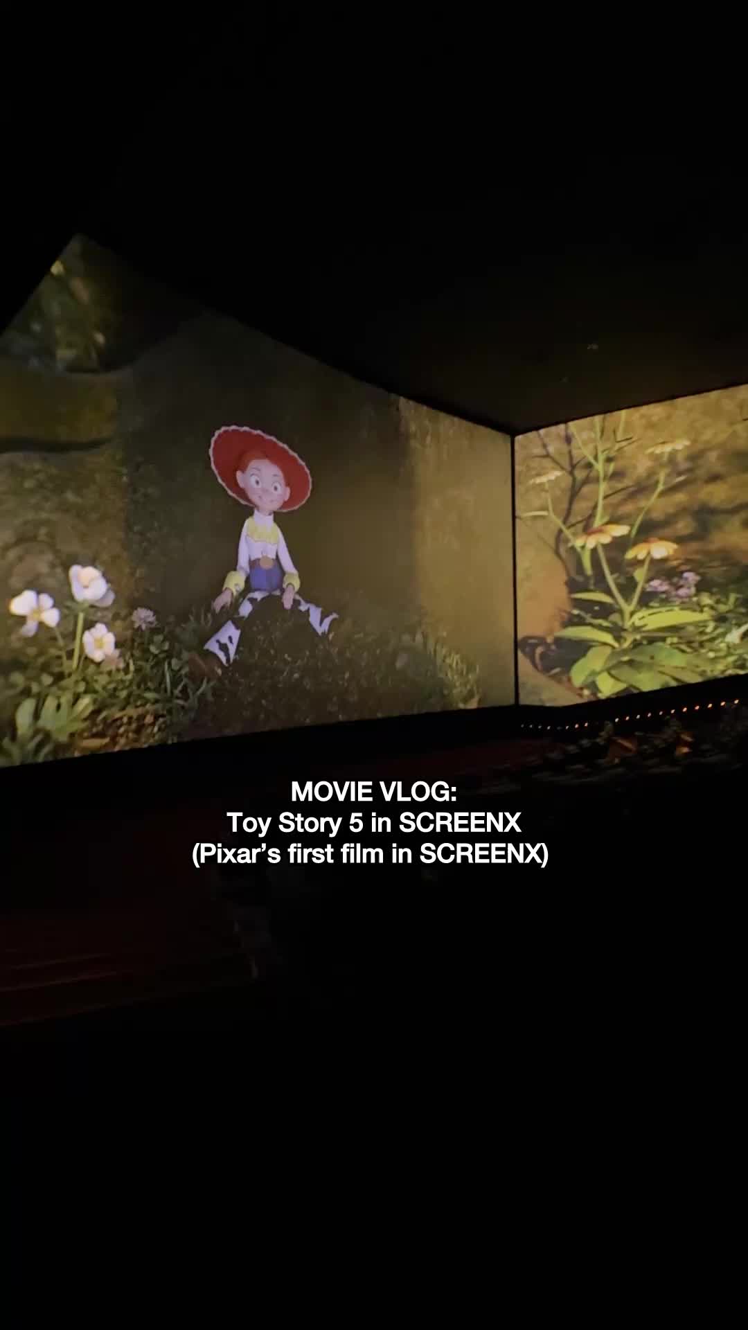 @SCREENX