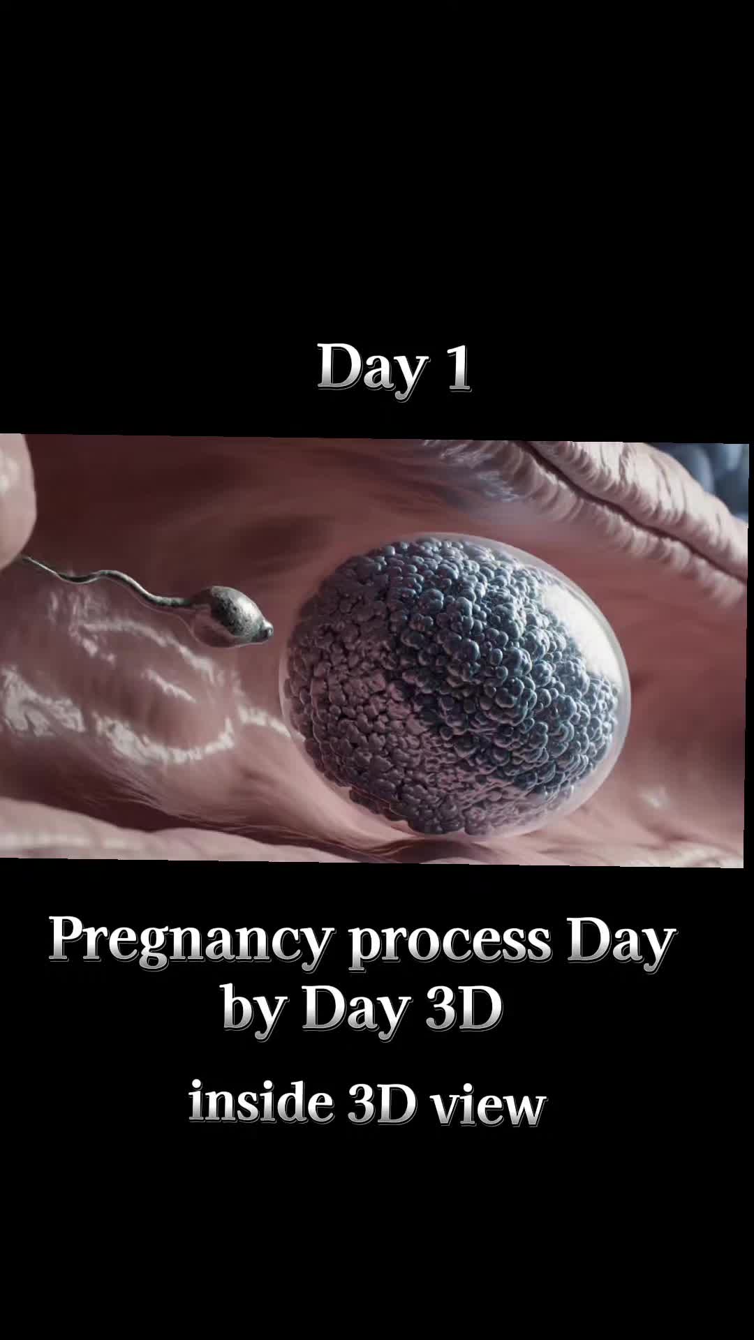 @BABY INSIDE-7