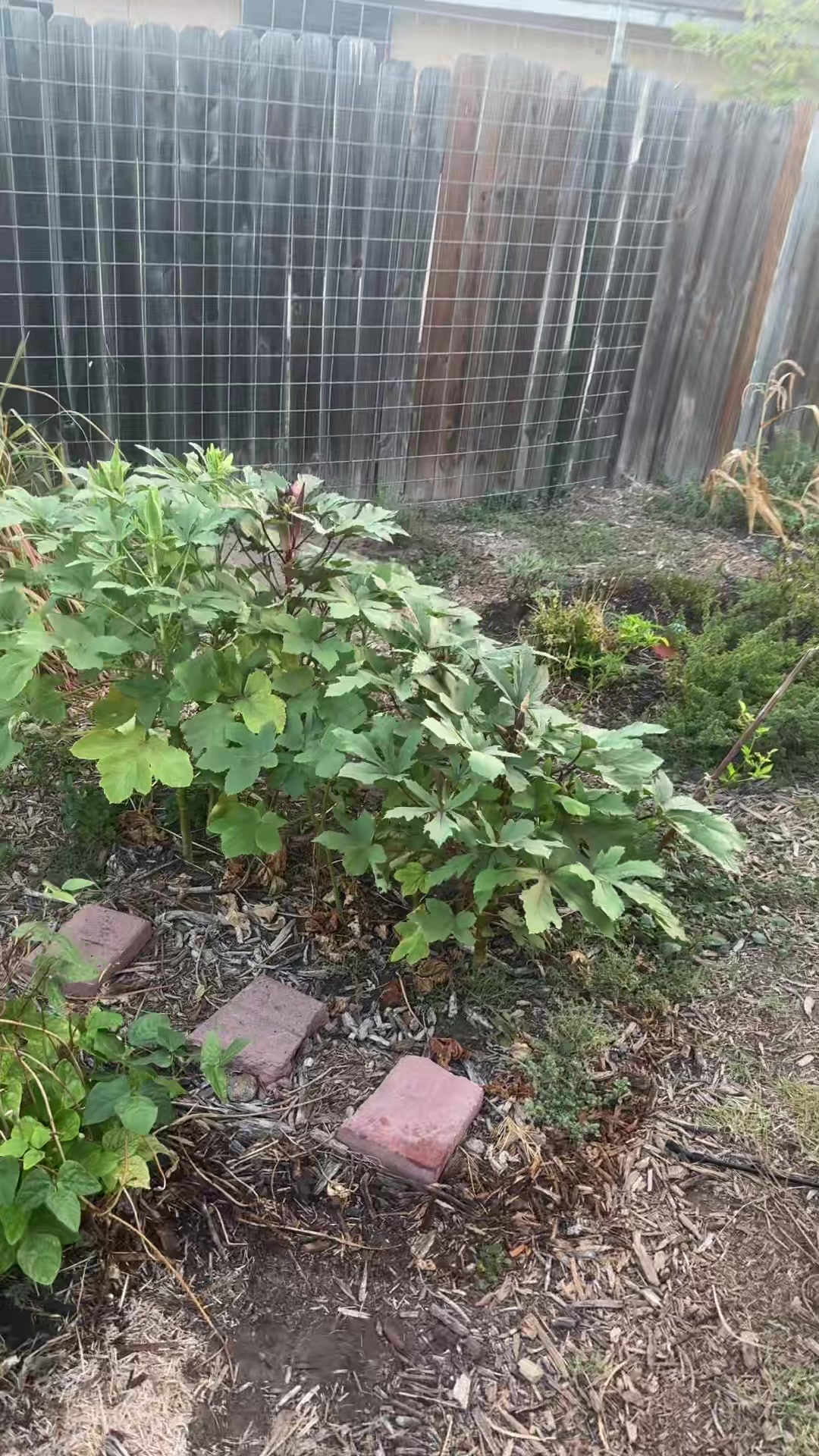 @themagicvalleygardener