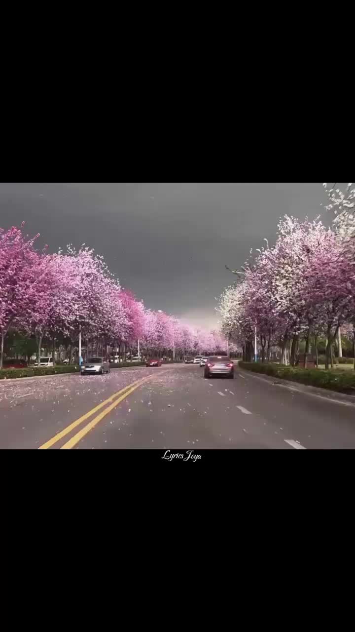 @𝑳𝒚𝒓𝒊𝒄𝒔 𝑱𝒐𝒚𝒂✨🎧