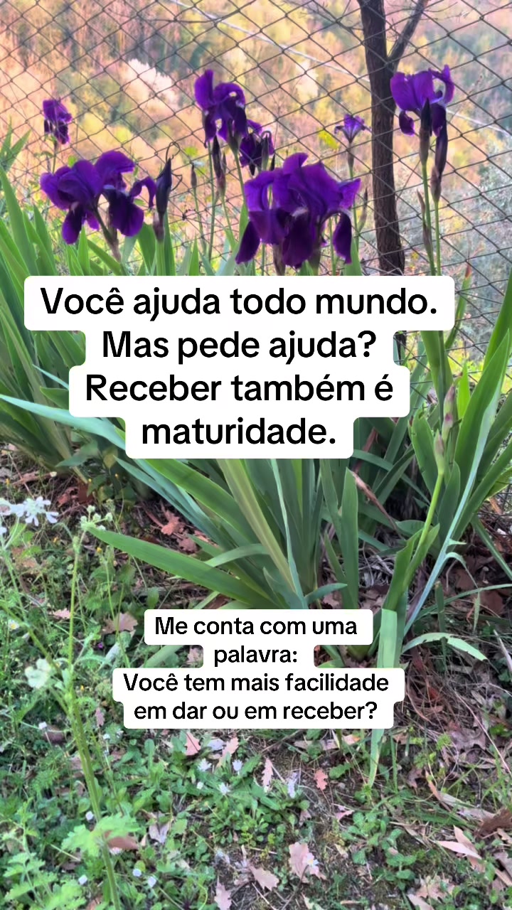 @Vanessa E. Santos | Terapeuta