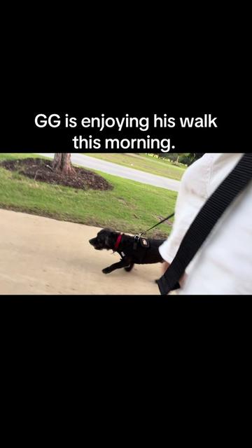 @Greyson Chamberlain