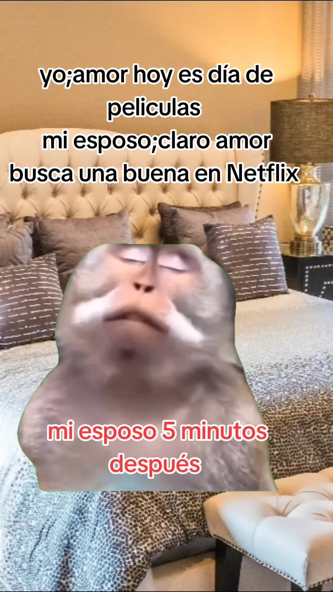 @Manuel❤️ceci