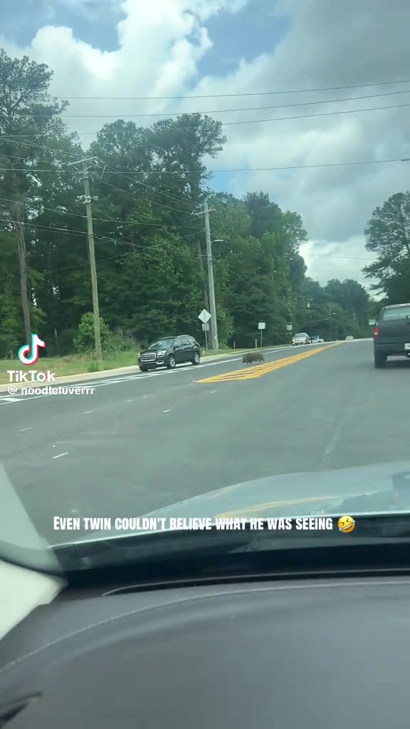 @Nikki Georgia’ 🍑