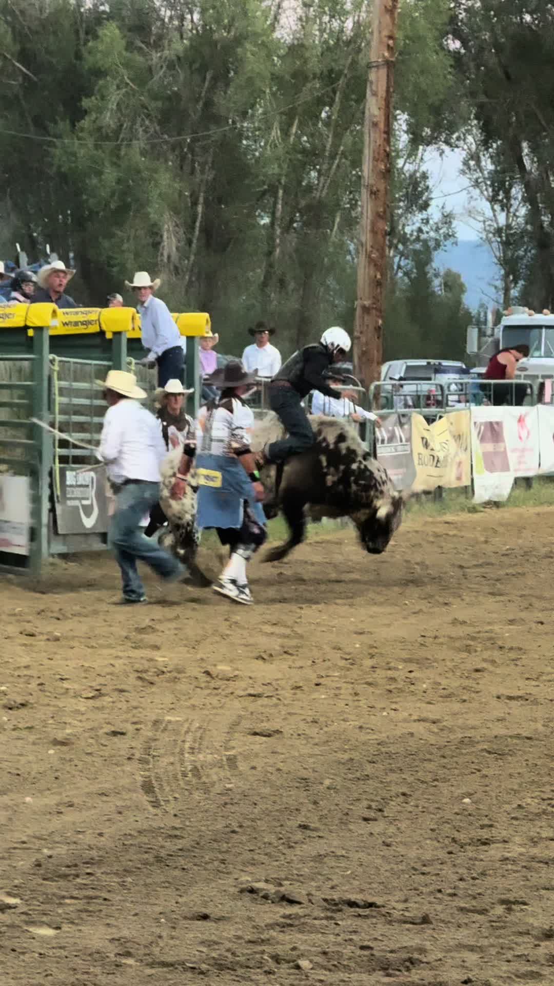 @knoxrodeo