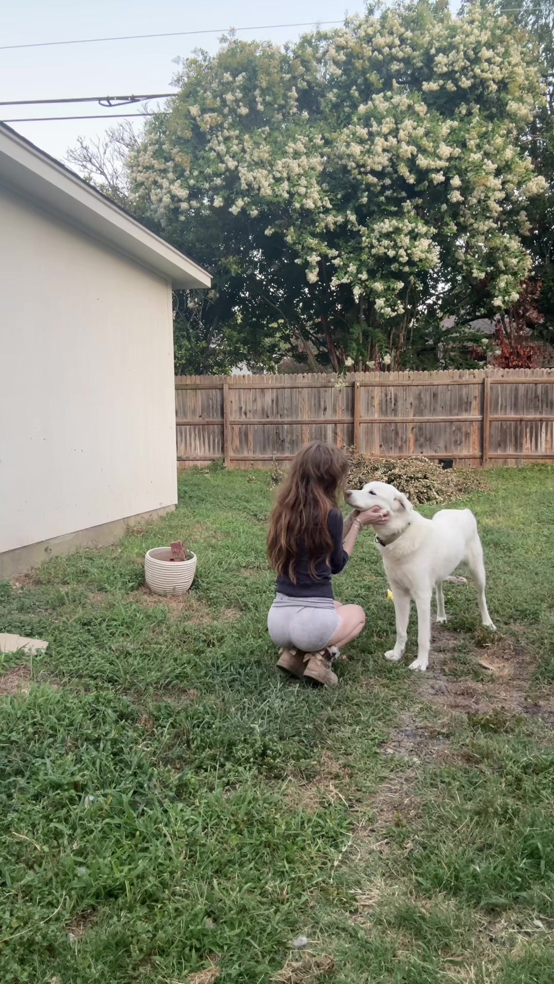 @juju_has_a_little_heart