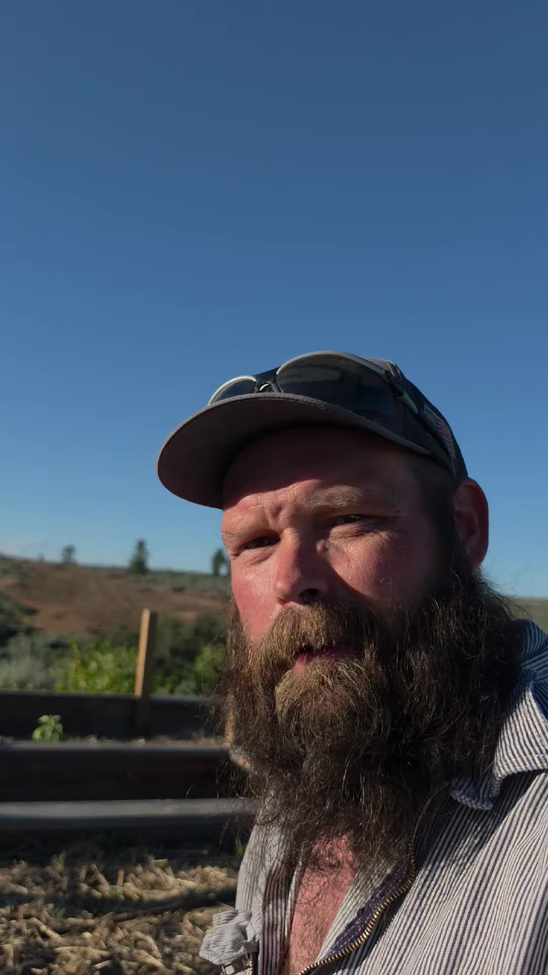 @thebeardedfamily1