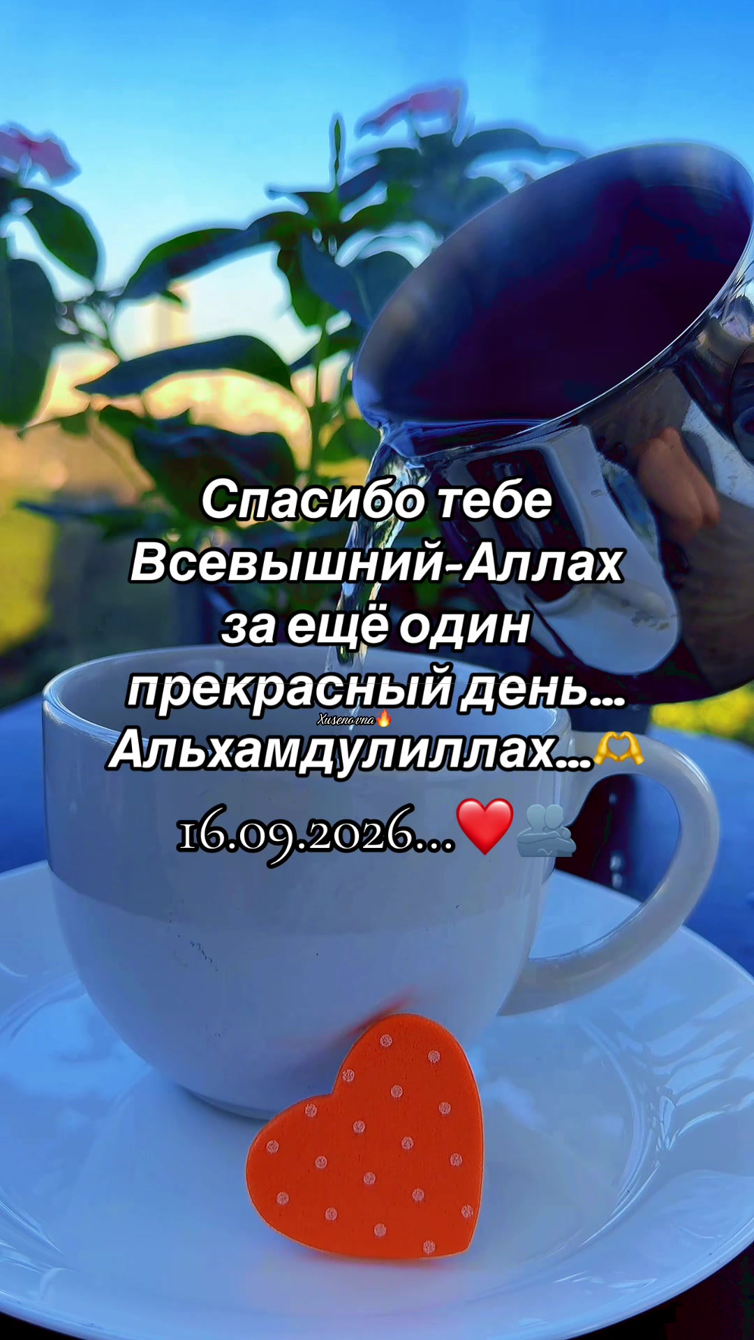 @💎🕊️🫶PrOsTa❤️🩹SoFiA🫶🕊️💎