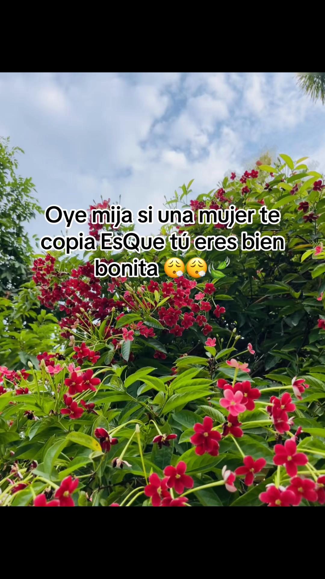 @Castro🍃