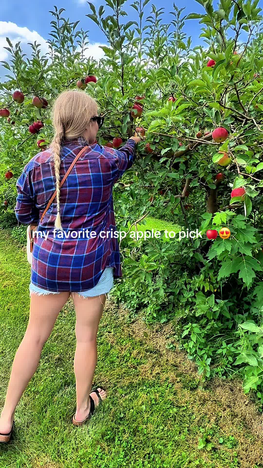@ToriTried