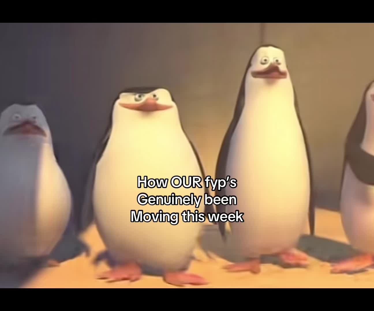 @Wiscut