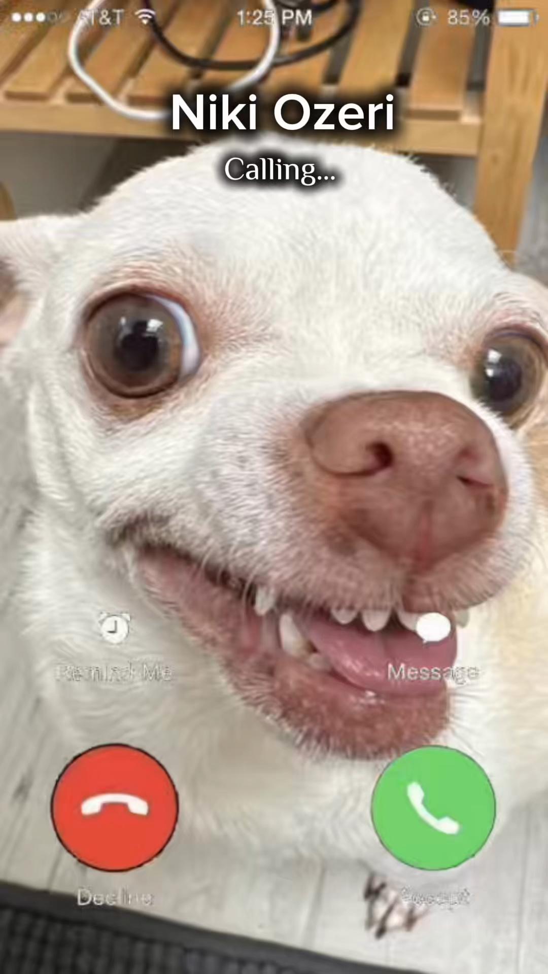 @mreviatar