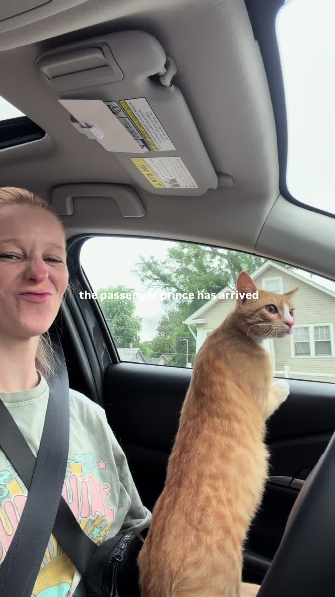@Suzie