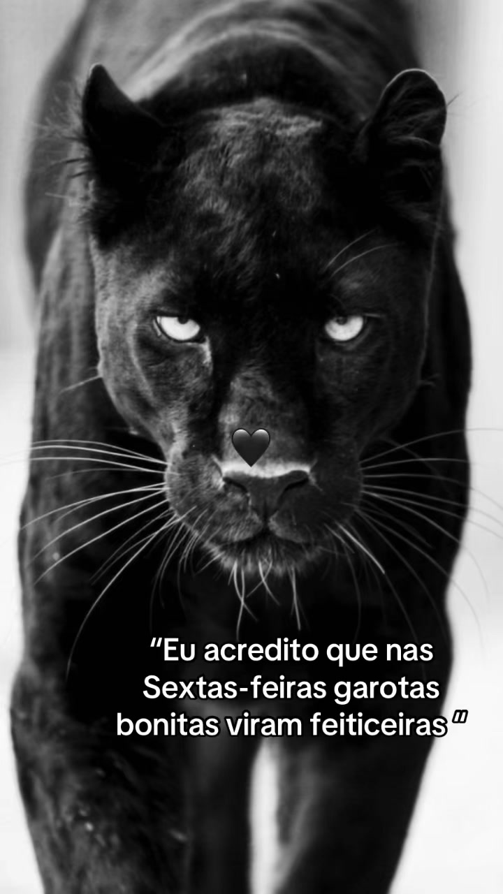 @@Larissinhamk
