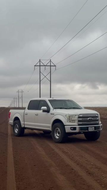 @Thtwhite5.0