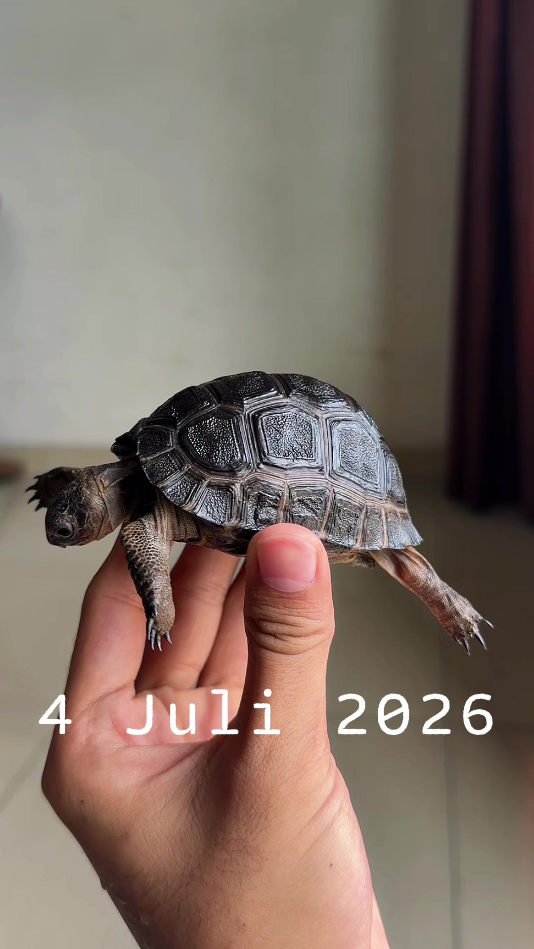 @Serayujaya