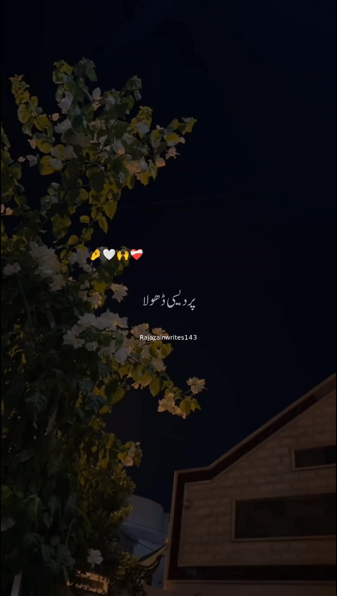 @✌️راجہ صاحب🔥
