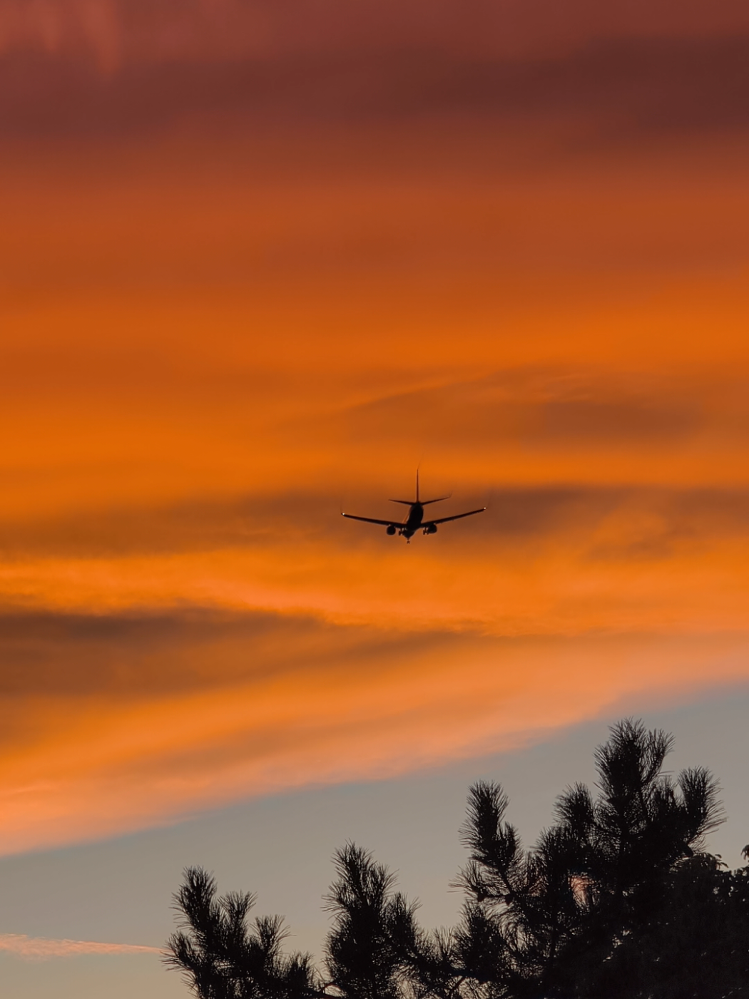 @Dji litlte Fly