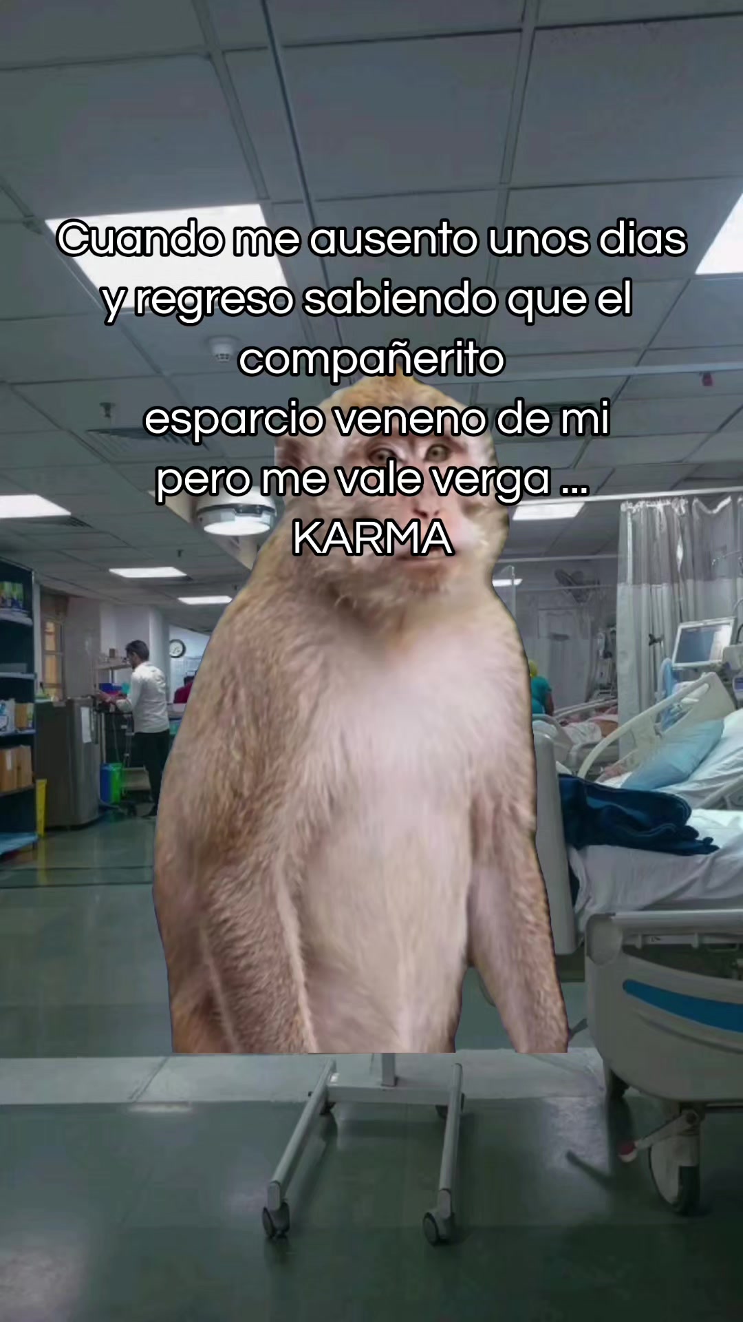 @AdultoChiquito