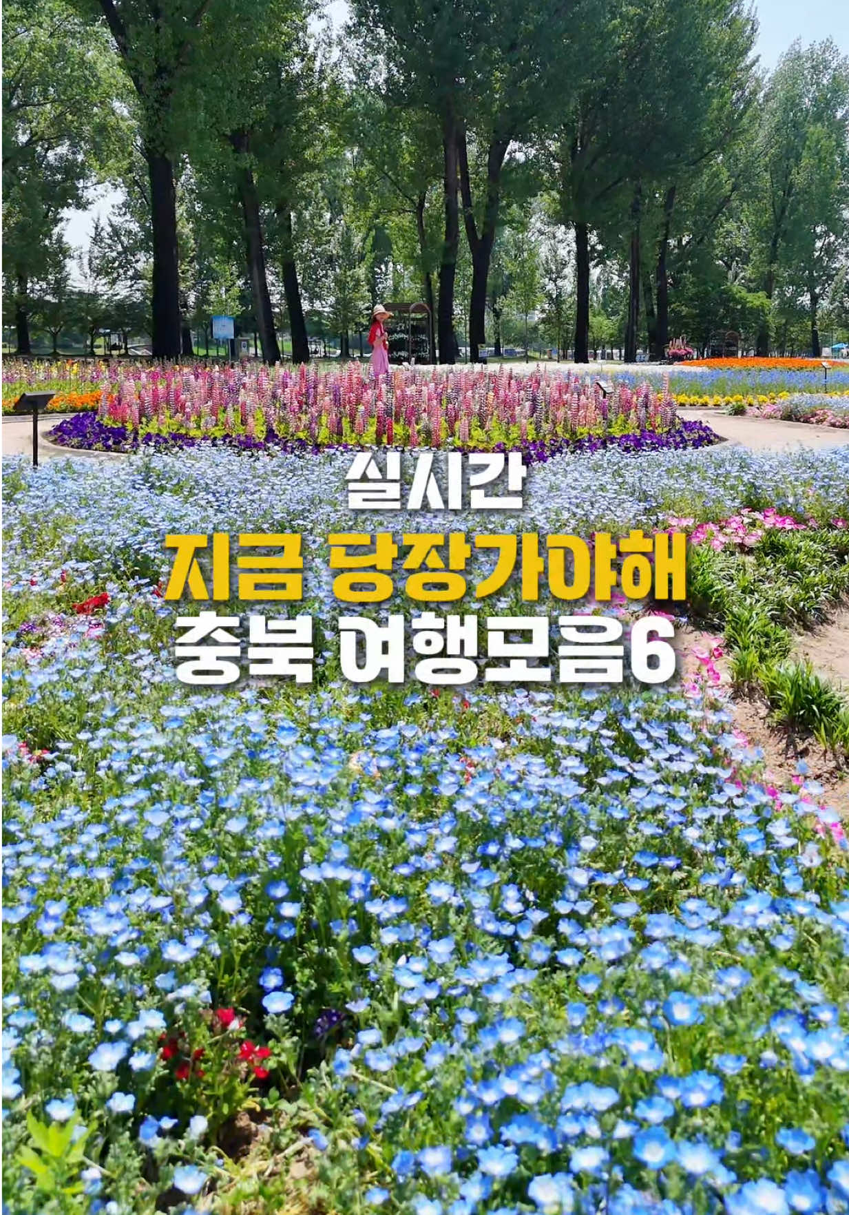 @킴보