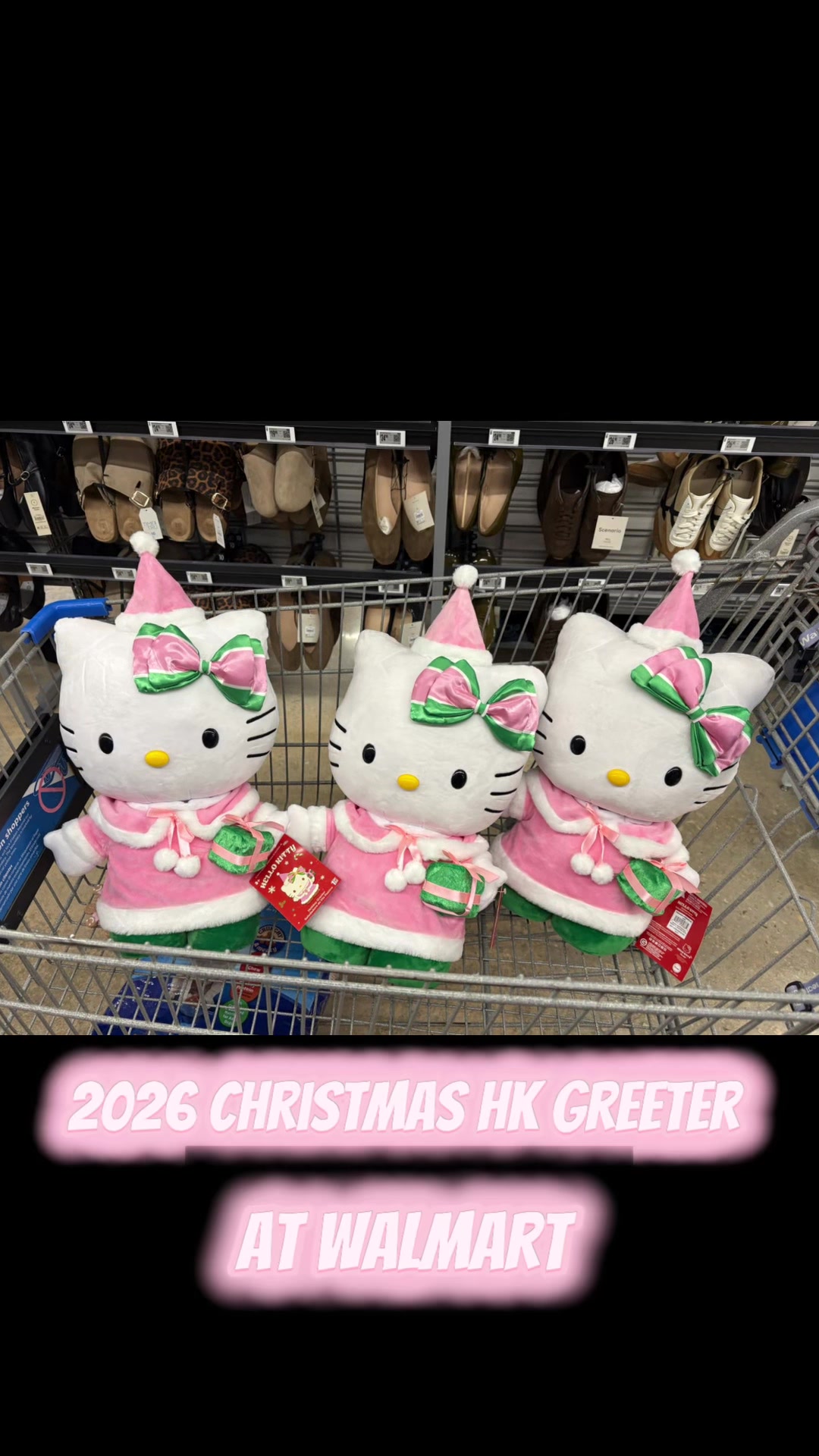 @🎀🧸🩷Boobear🎀🧸🩷