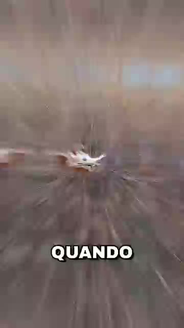 @Giuseppa Saluci