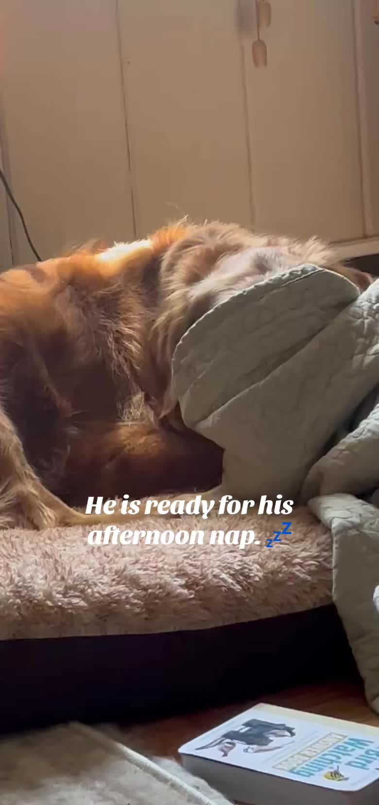 @lifewithduke2025