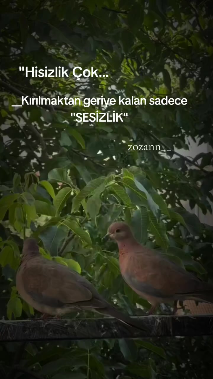 @ZOZAN