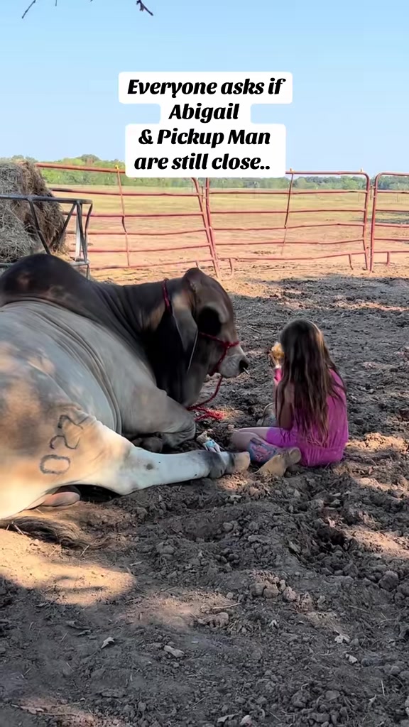 @The V6 Ranch