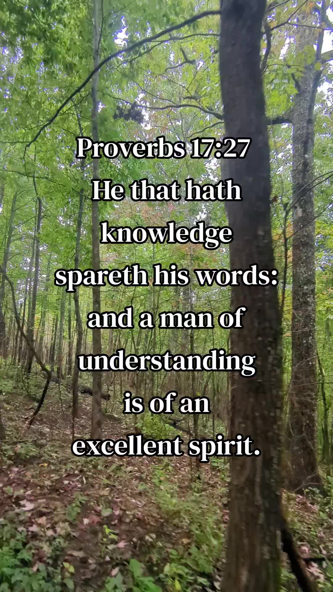 @PeaceBeStill