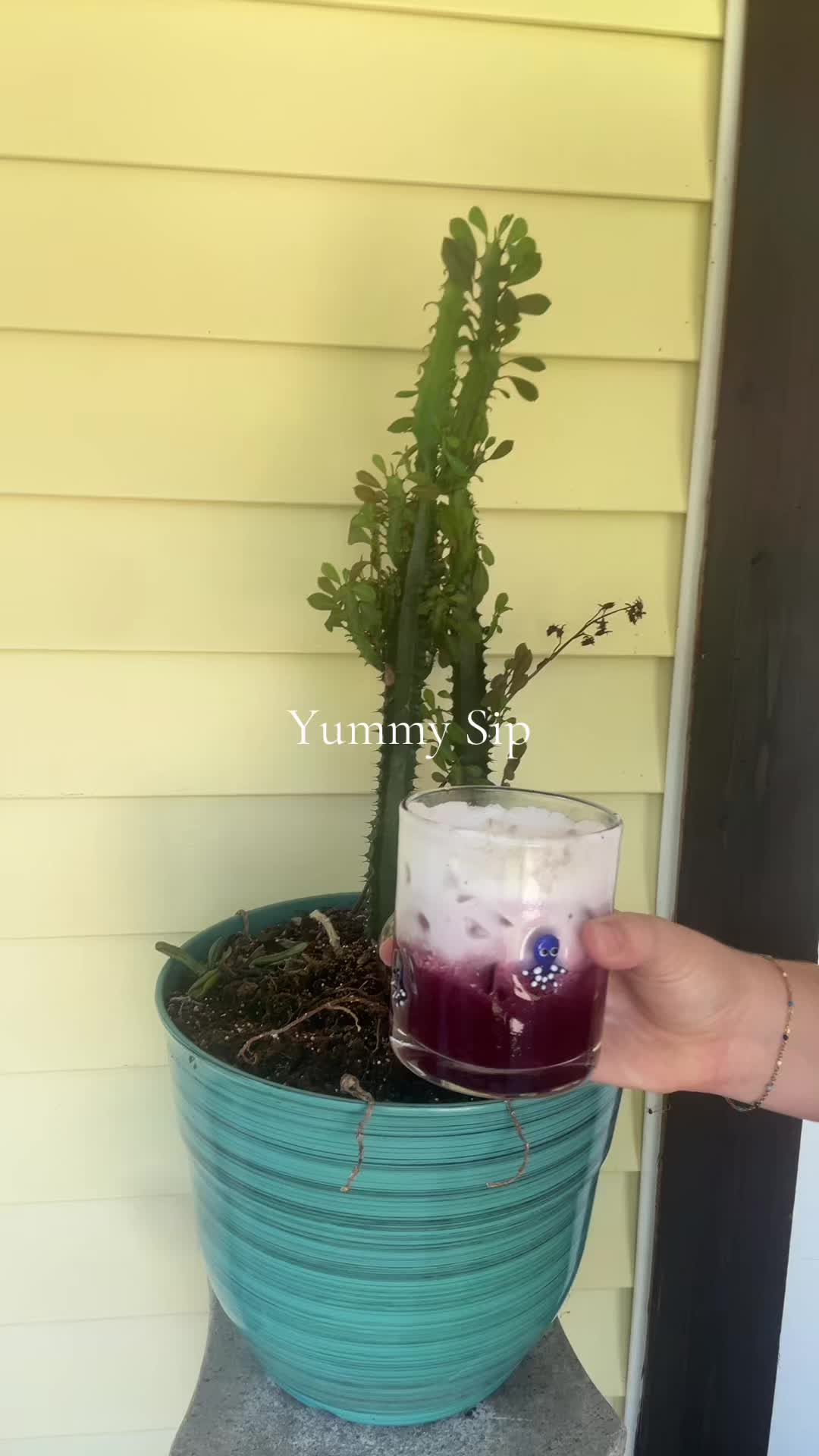 @Sylyna May Dews 🧸