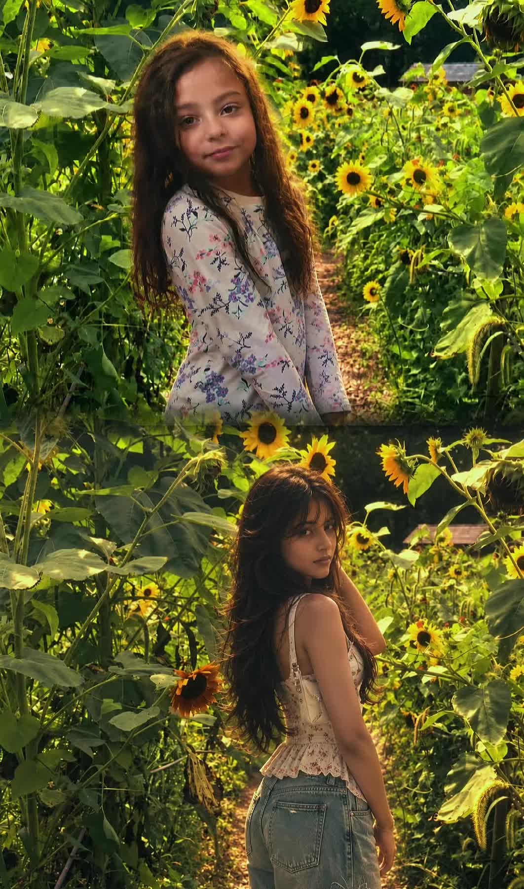 @Sakura 2023