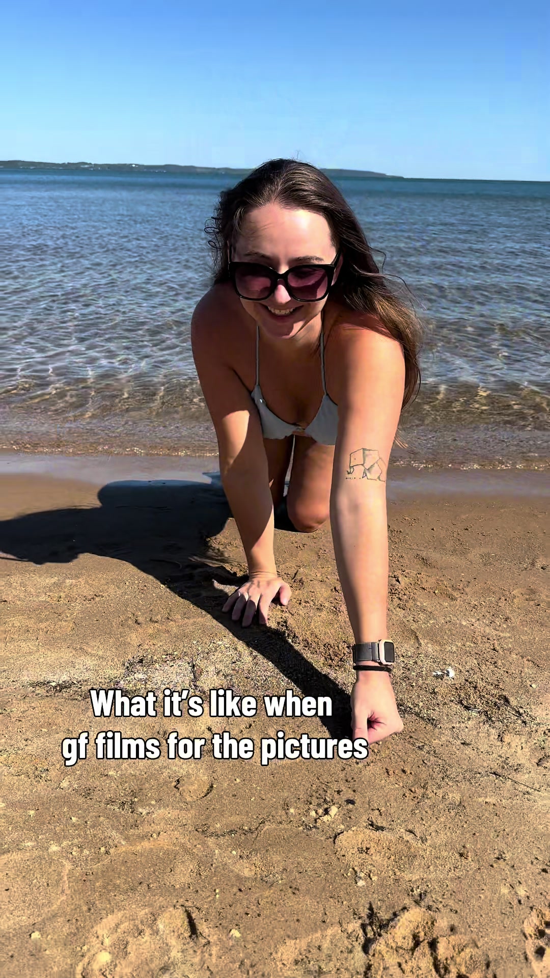 @Rachel🦕🐋🦝