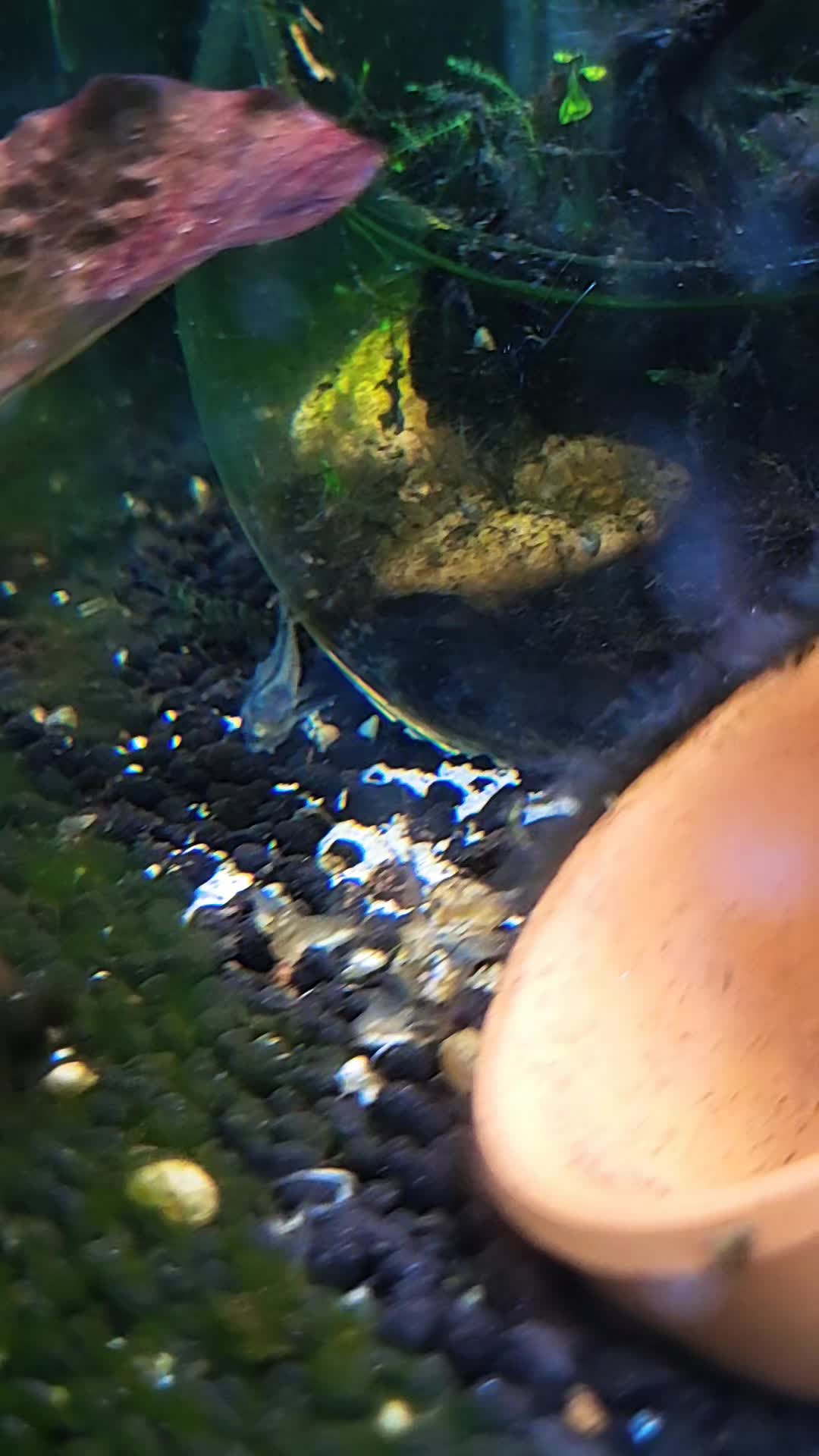 @🐌 AquaGirl ~ Here Fishy Fishy