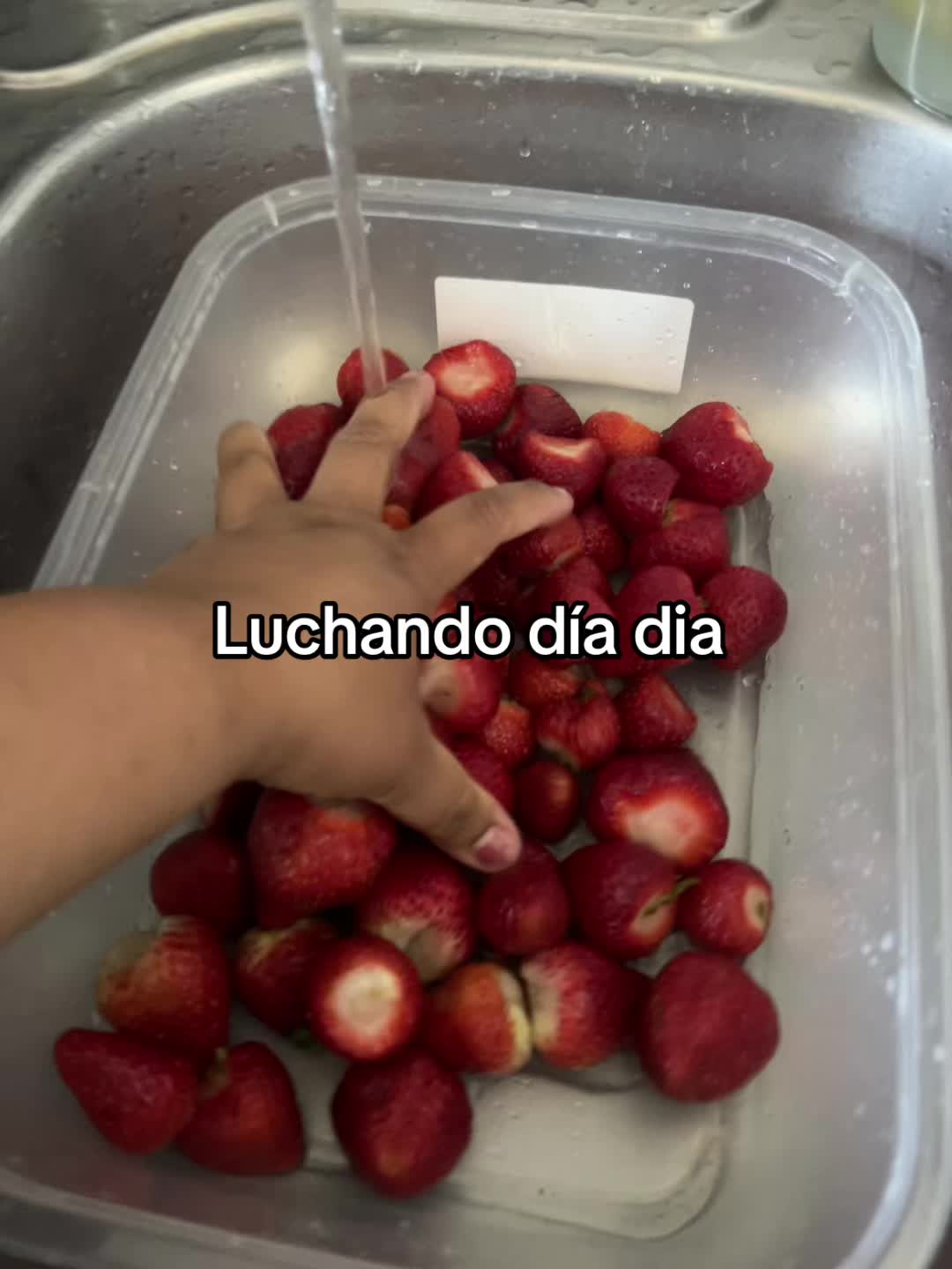 @Yohana