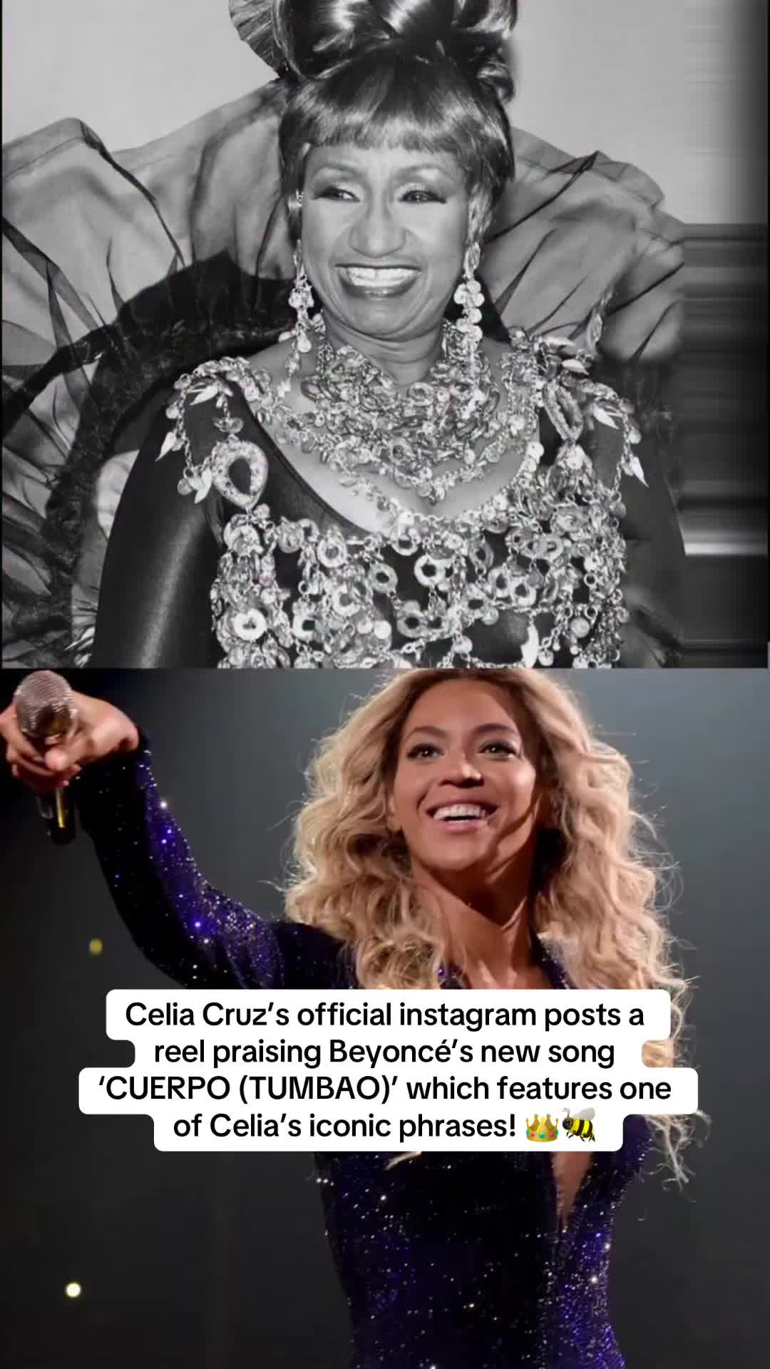 @Fan Account 🐝