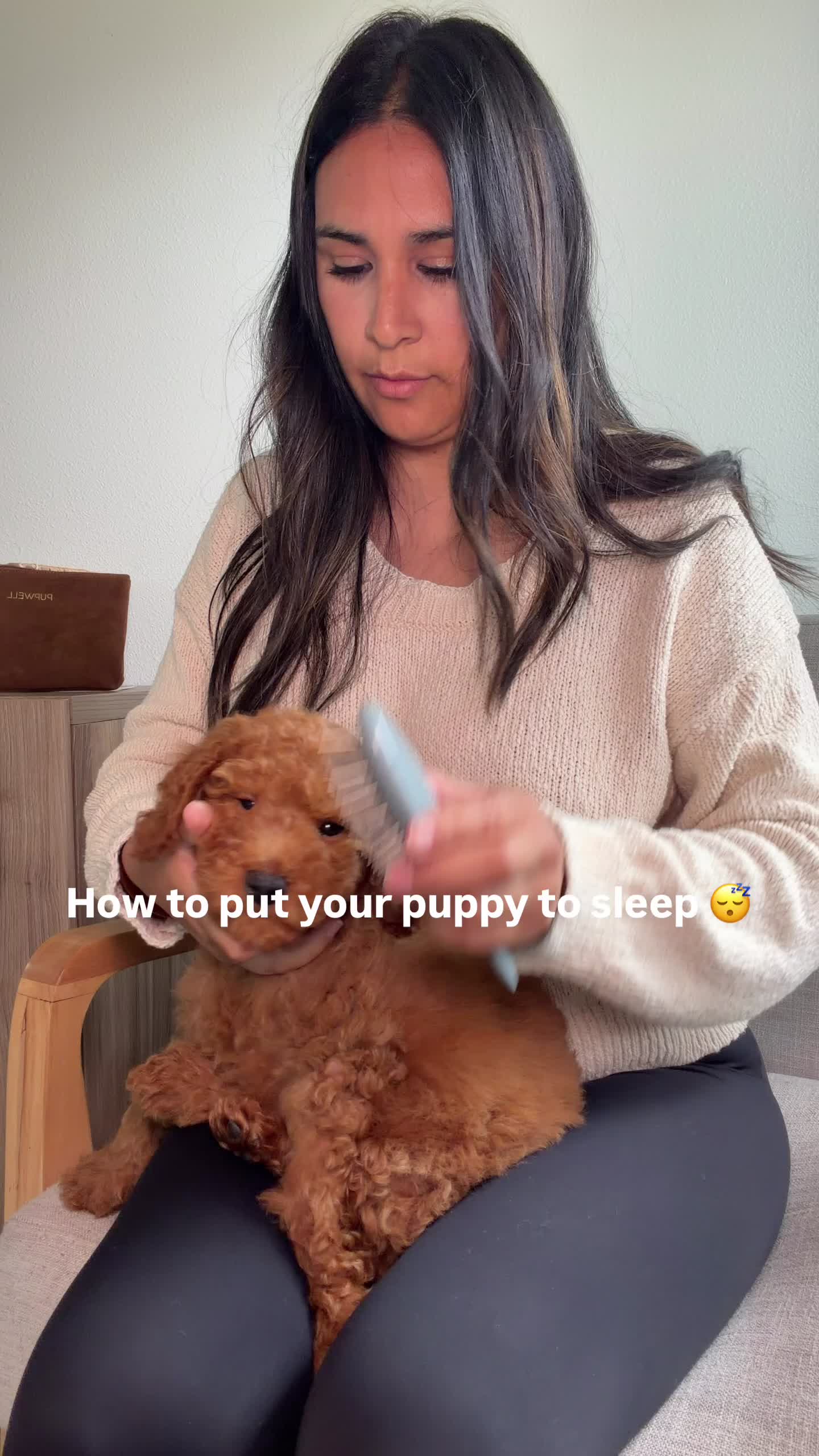 @Pupwell