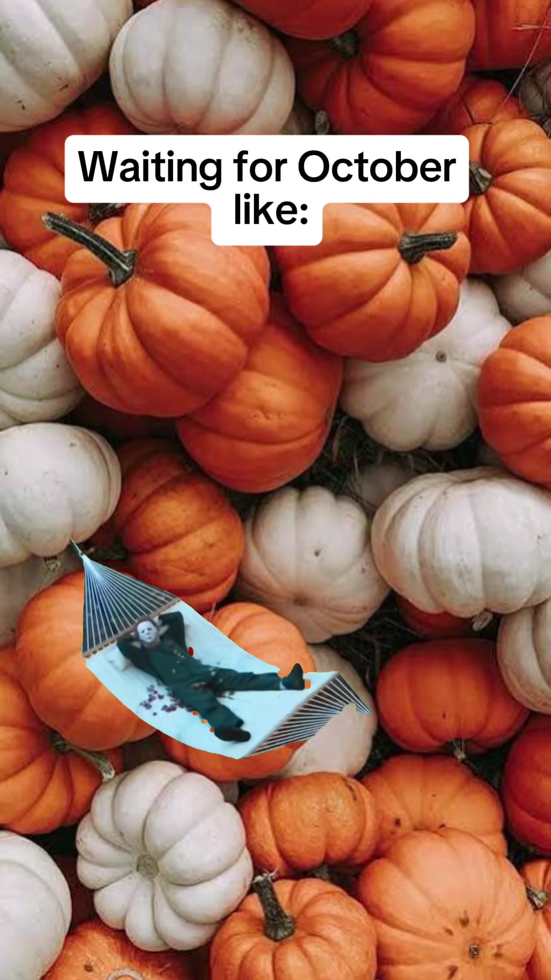 @๐น๐๐น๐