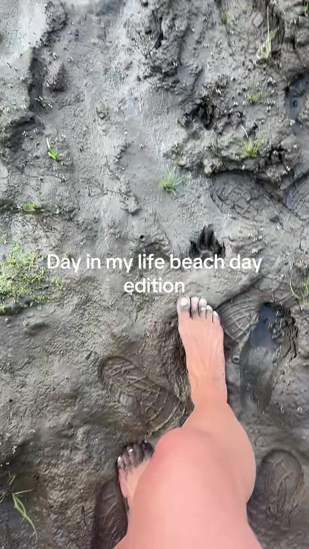 @Luci
