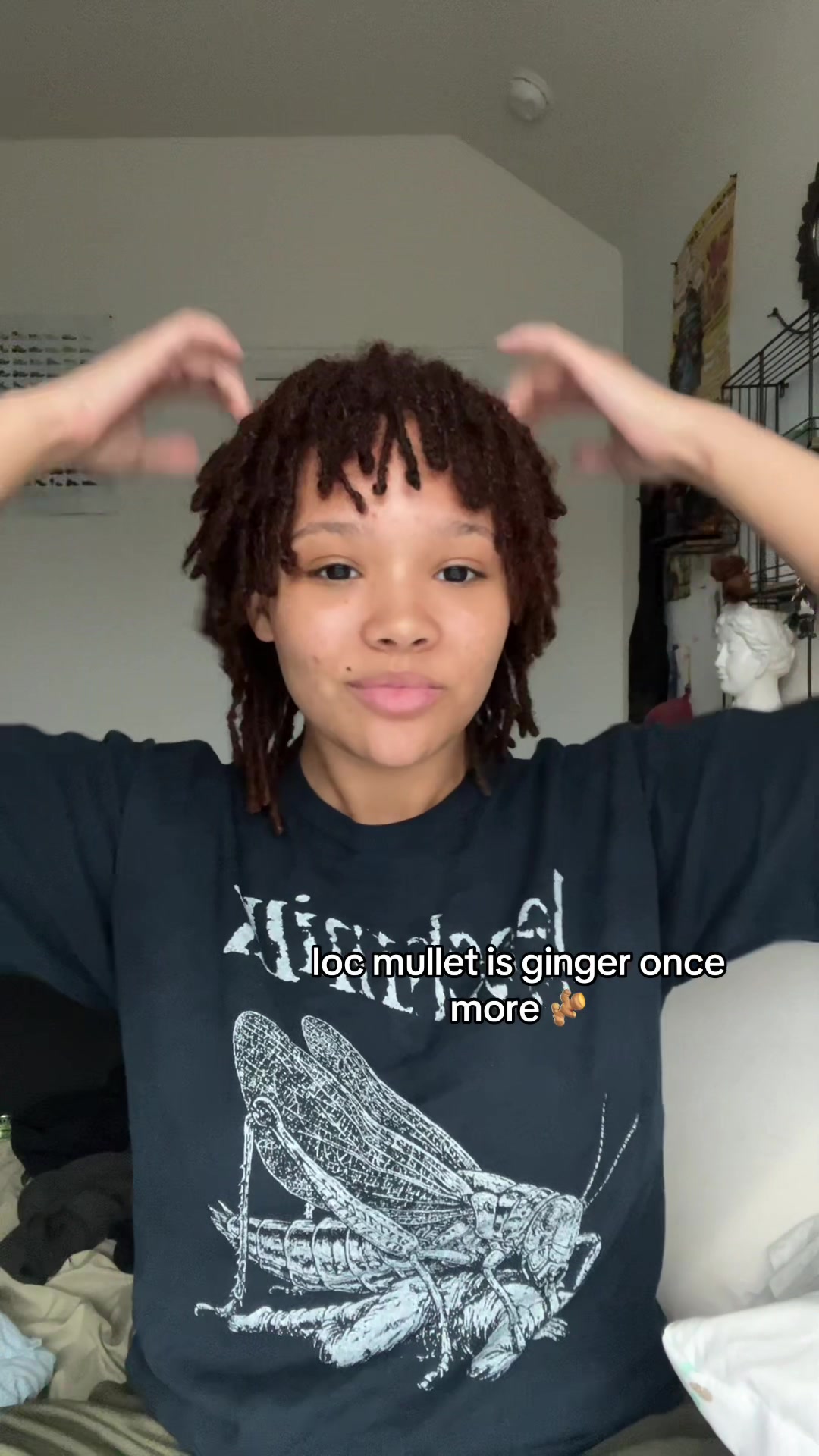 @stelelz