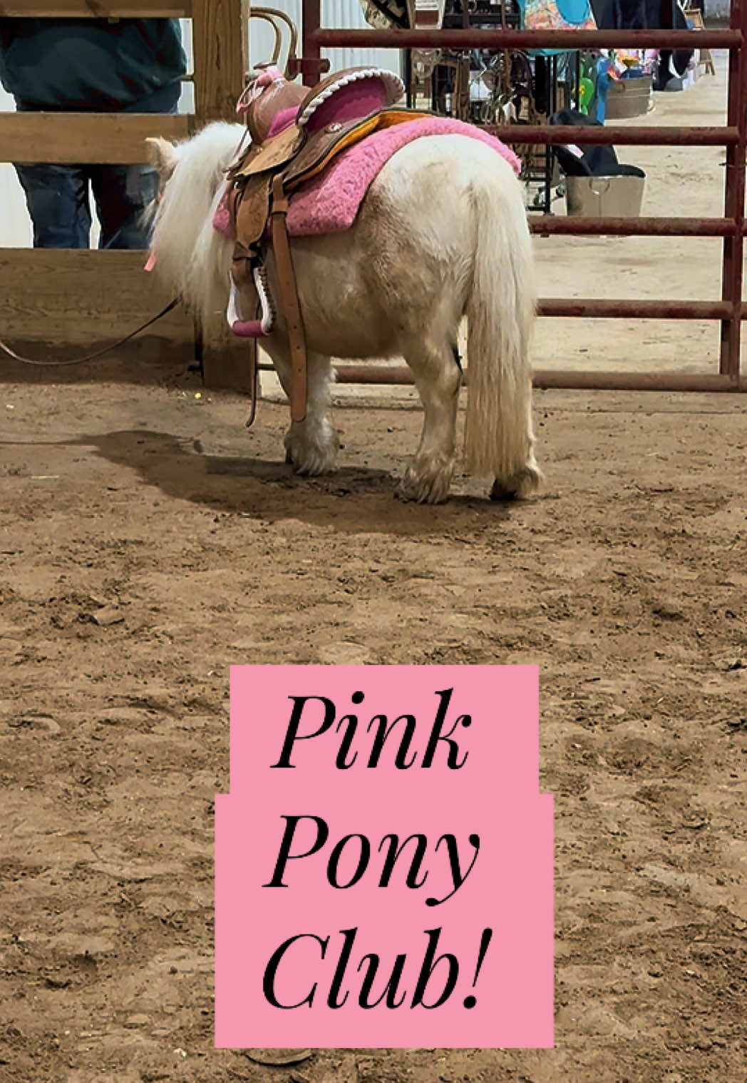 @yourhorseandponyleader