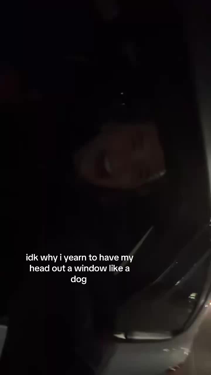 @smellanore 🐙