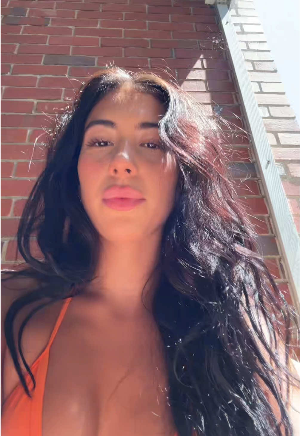 @phoenixarvidd