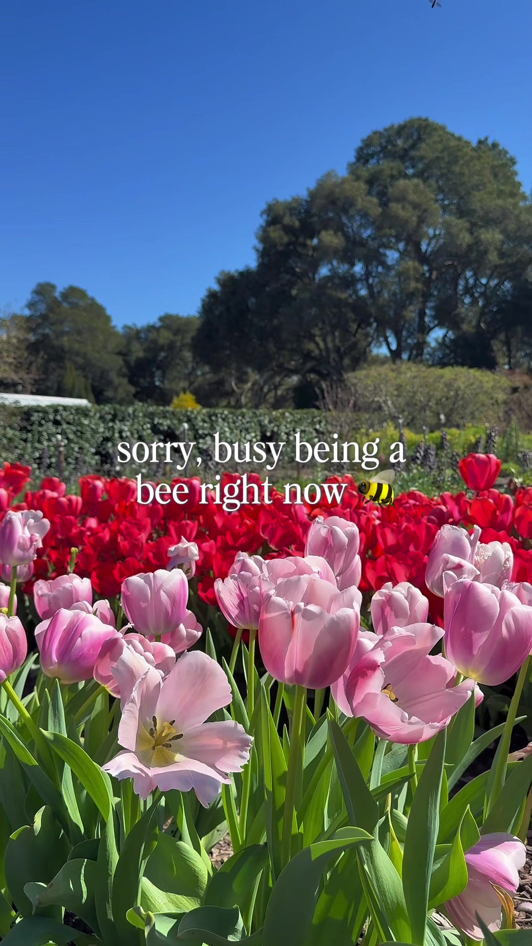 @Filoli