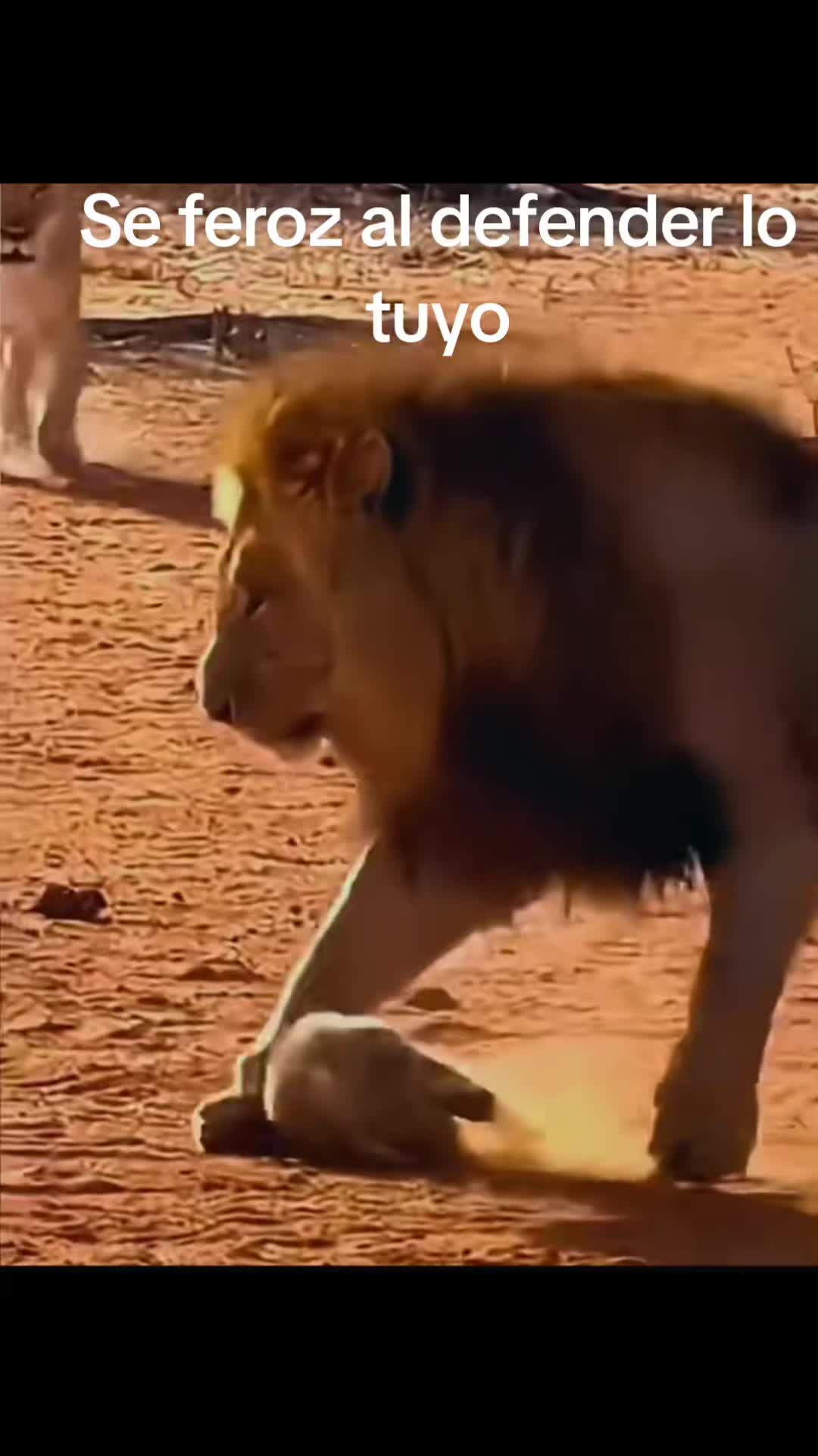 @Enita
