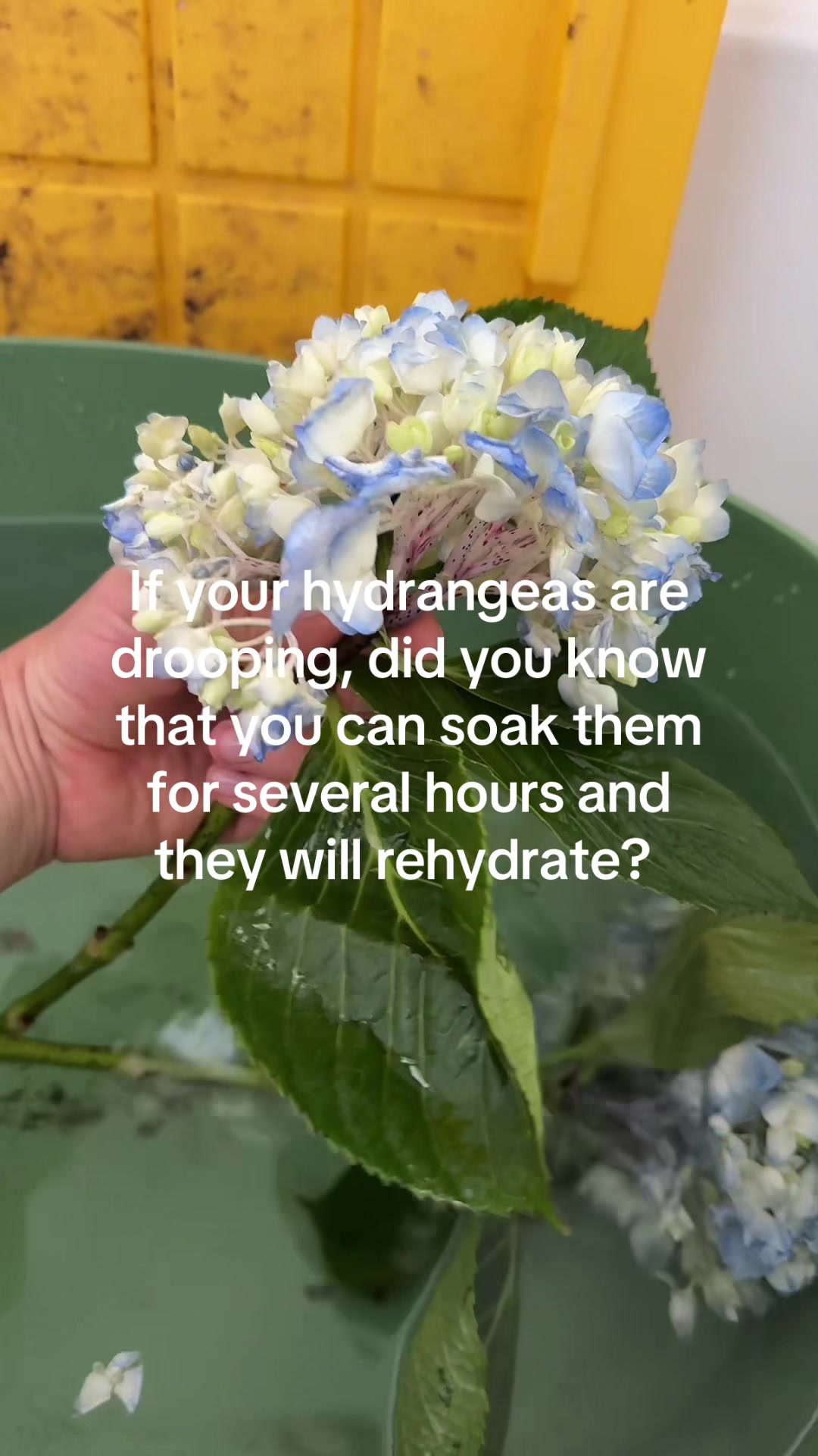 @Liv Floral