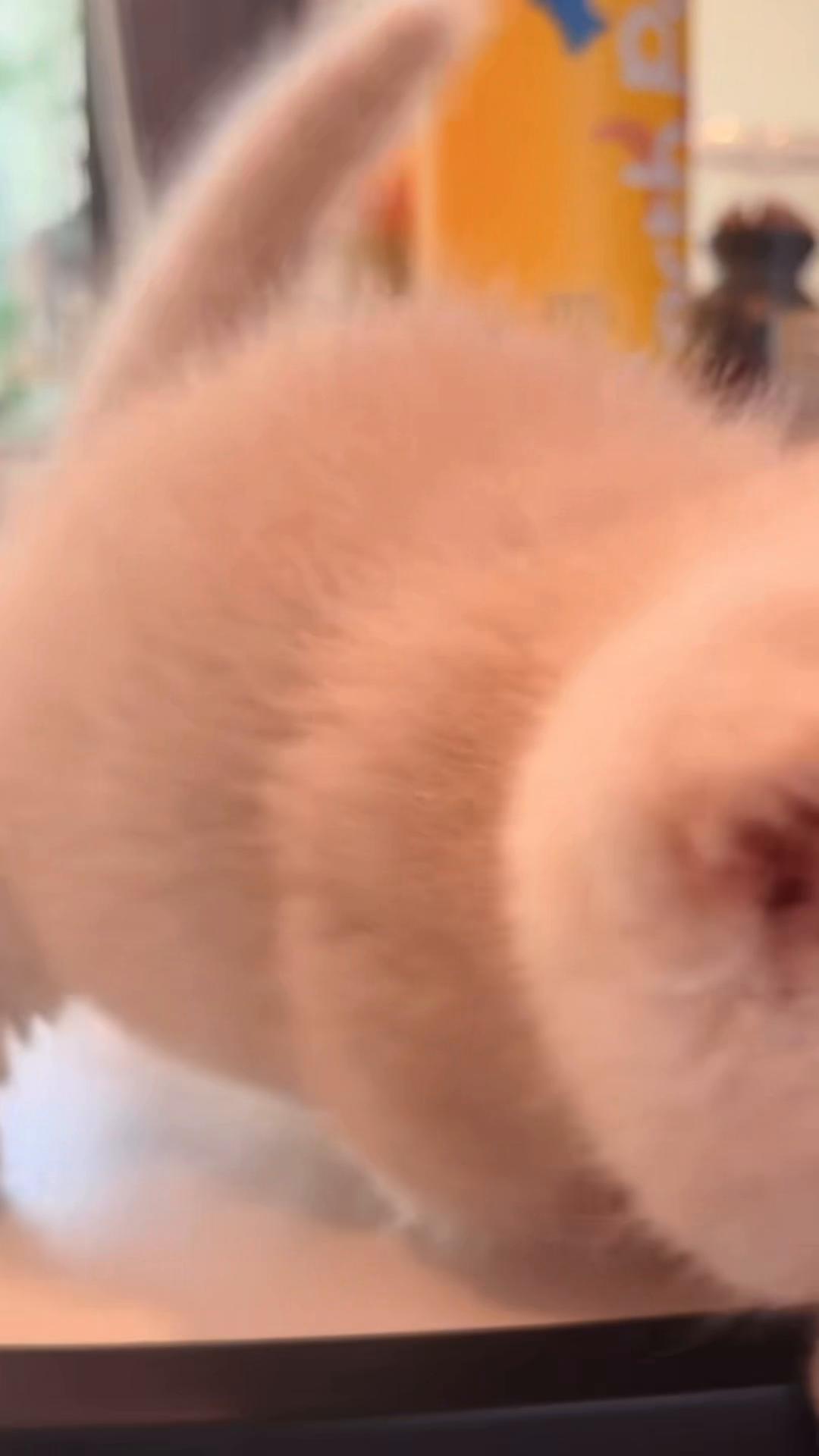 @My Daily Dose of Aww