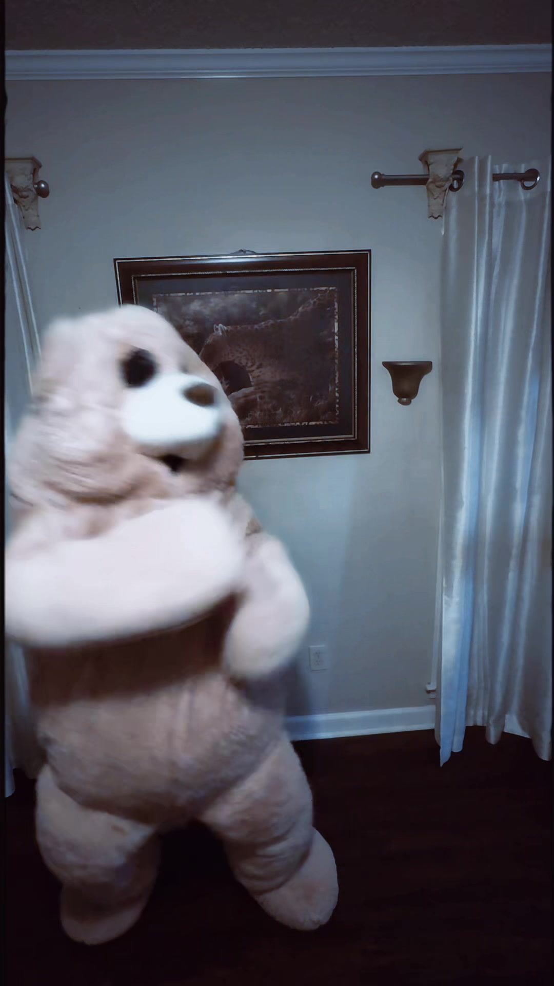 @jaythedancingbear